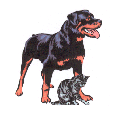 shelter logo