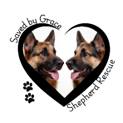 shelter logo