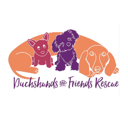 Dachshunds and Friends Rescue