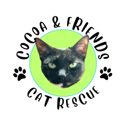shelter logo