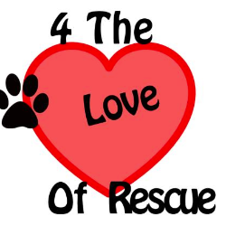 shelter logo