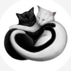 shelter logo