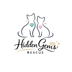 shelter logo