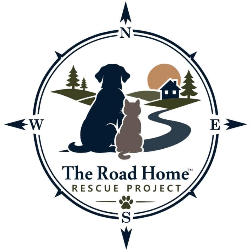 shelter logo