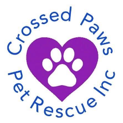 shelter logo