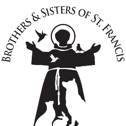 shelter logo
