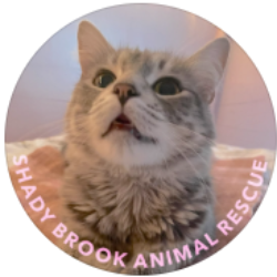 Shady Brook Animal Rescue
