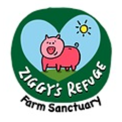 shelter logo