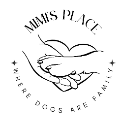 shelter logo