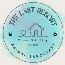 shelter logo