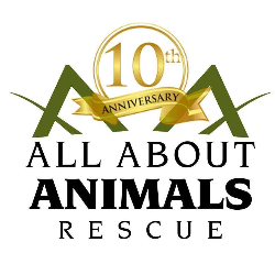 shelter logo