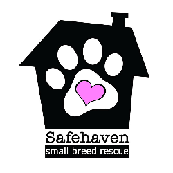 shelter logo