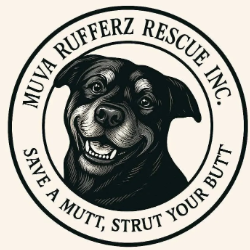 shelter logo