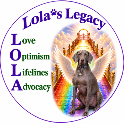 shelter logo