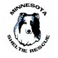shelter logo