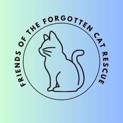shelter logo
