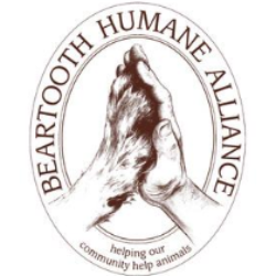 shelter logo