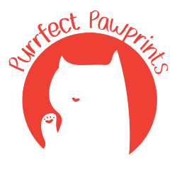 shelter logo