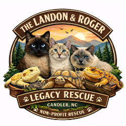 shelter logo