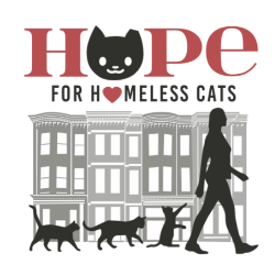 shelter logo