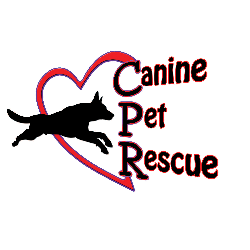 shelter logo
