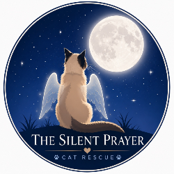 shelter logo
