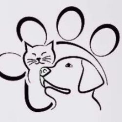 shelter logo