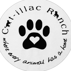 shelter logo
