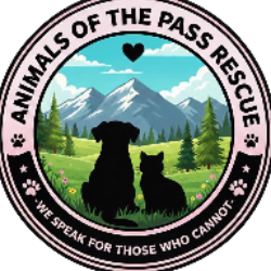 shelter logo