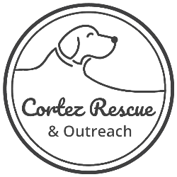 shelter logo