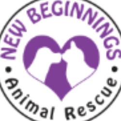 shelter logo