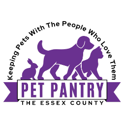 shelter logo