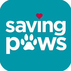 shelter logo