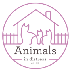 shelter logo