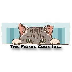 shelter logo