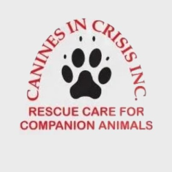 shelter logo