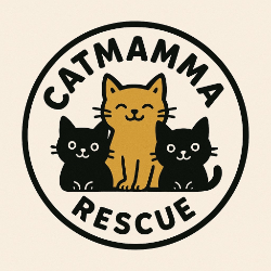 shelter logo