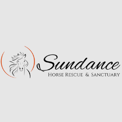 shelter logo