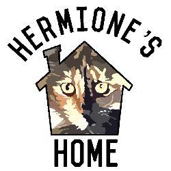 shelter logo